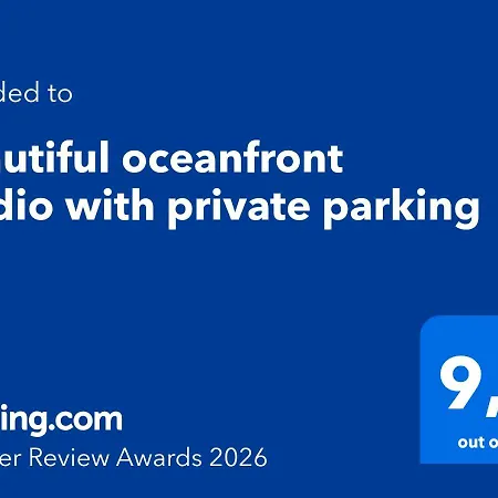 Beautiful Oceanfront With Private Parking 푼타델히달고